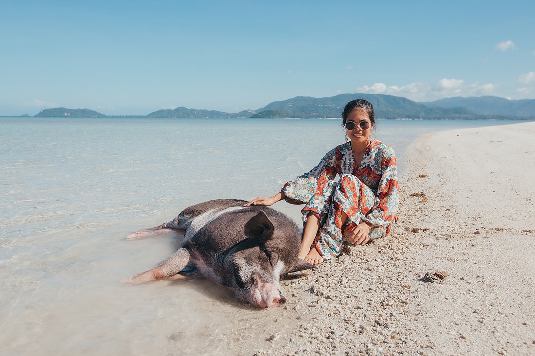Relaxen mit einem Schwein im flachen Wasser auf der Insel Koh Madsum.