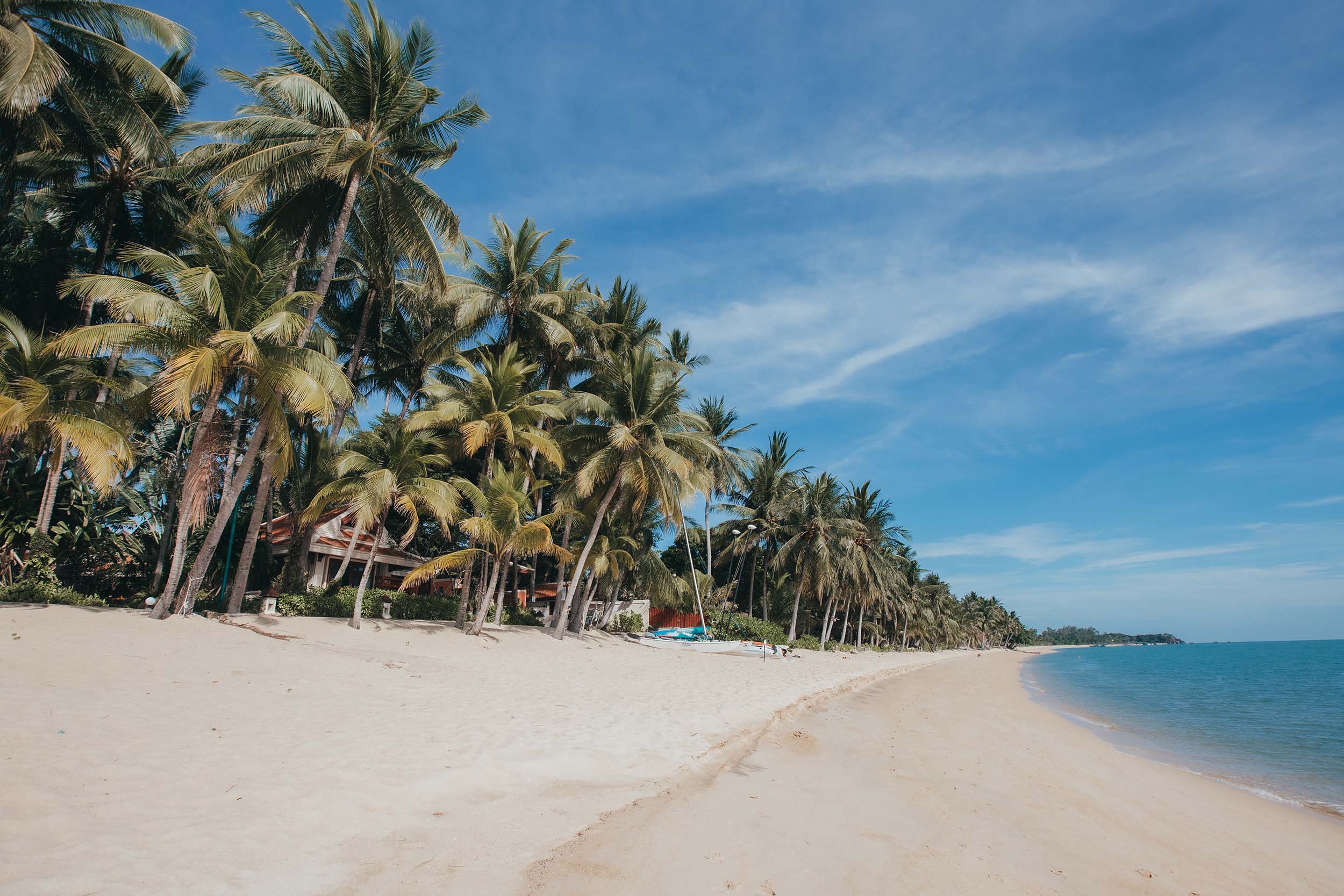 Der Maenam Beach auf Koh Samui mit seinem übigen Kokospalem zählt zu einem der schönsten Strände auf Koh Samui.