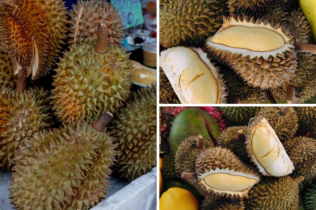 Durian, die Königin der Früchte. Thailands Exportschlager