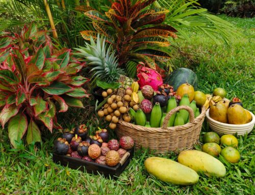 Früchte und Obst in Thailand