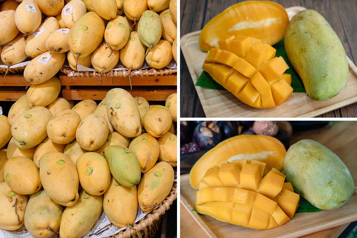 Die Mango, ein süßes Früchtchen aus Thailand