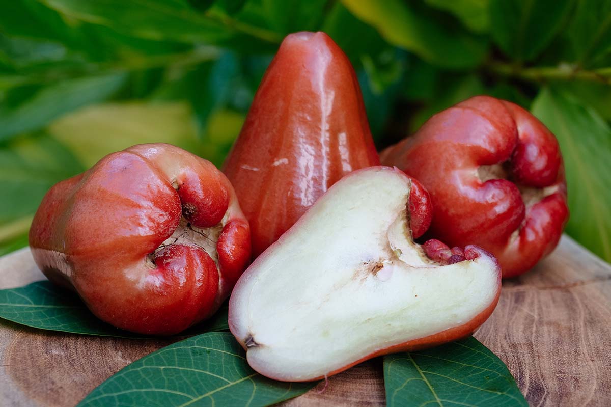 Der thailändische Rosenapfel ist eine erfrischende Frucht für heiße Tage