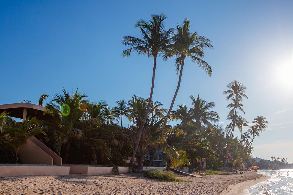 Kokospalmen säumen den Strand des Bang Por Beach