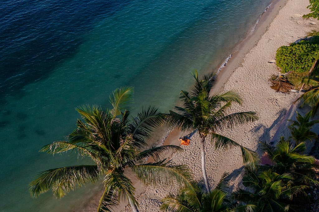 Palmen am Bang Por Beach auf Koh Samui