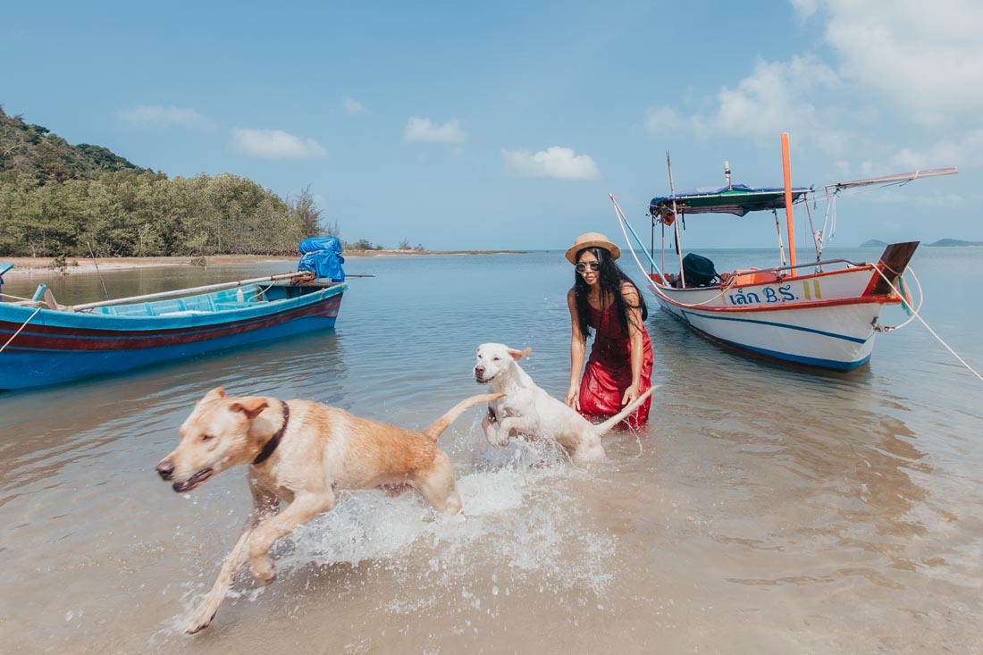 Fremde Tiere anfassen ist eigentlich in Thailand tabu. Bei diesen lustigen Kameraden allerdings fast unwiderstehlich