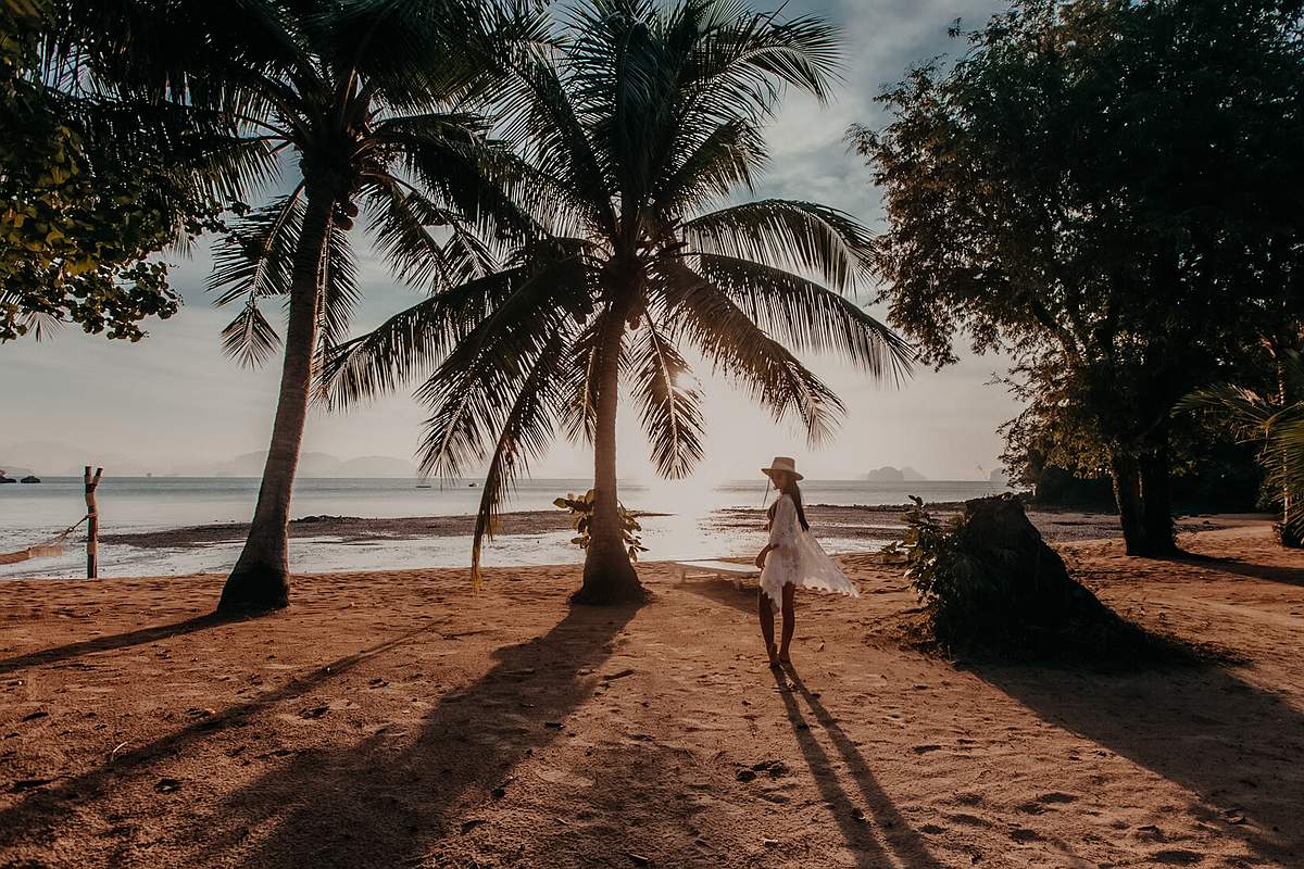 Palmen im warmen Sommerlicht am Strand Phuket