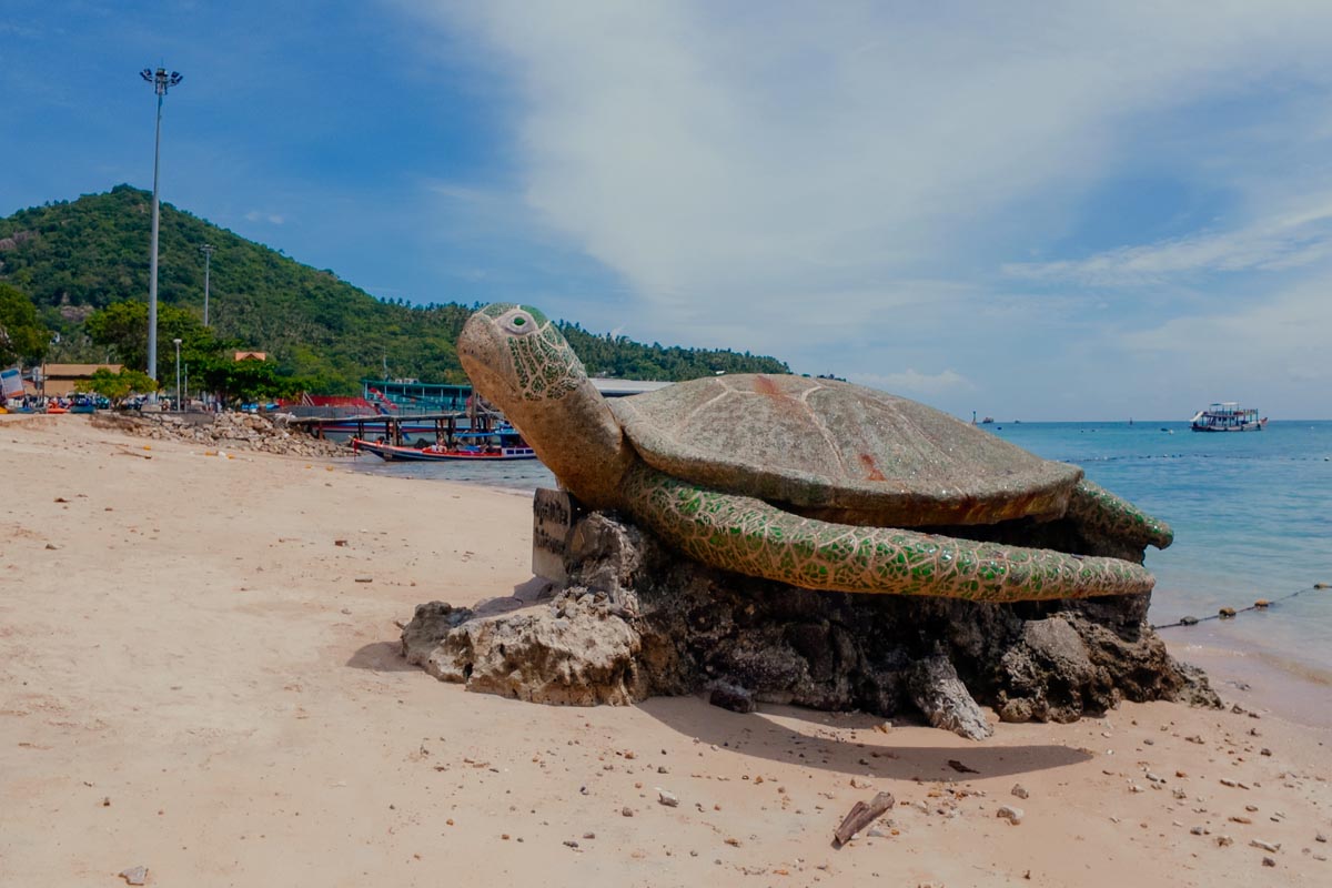 Eine Schildkröte amStrand symbolische für den Namen Koh Tao
