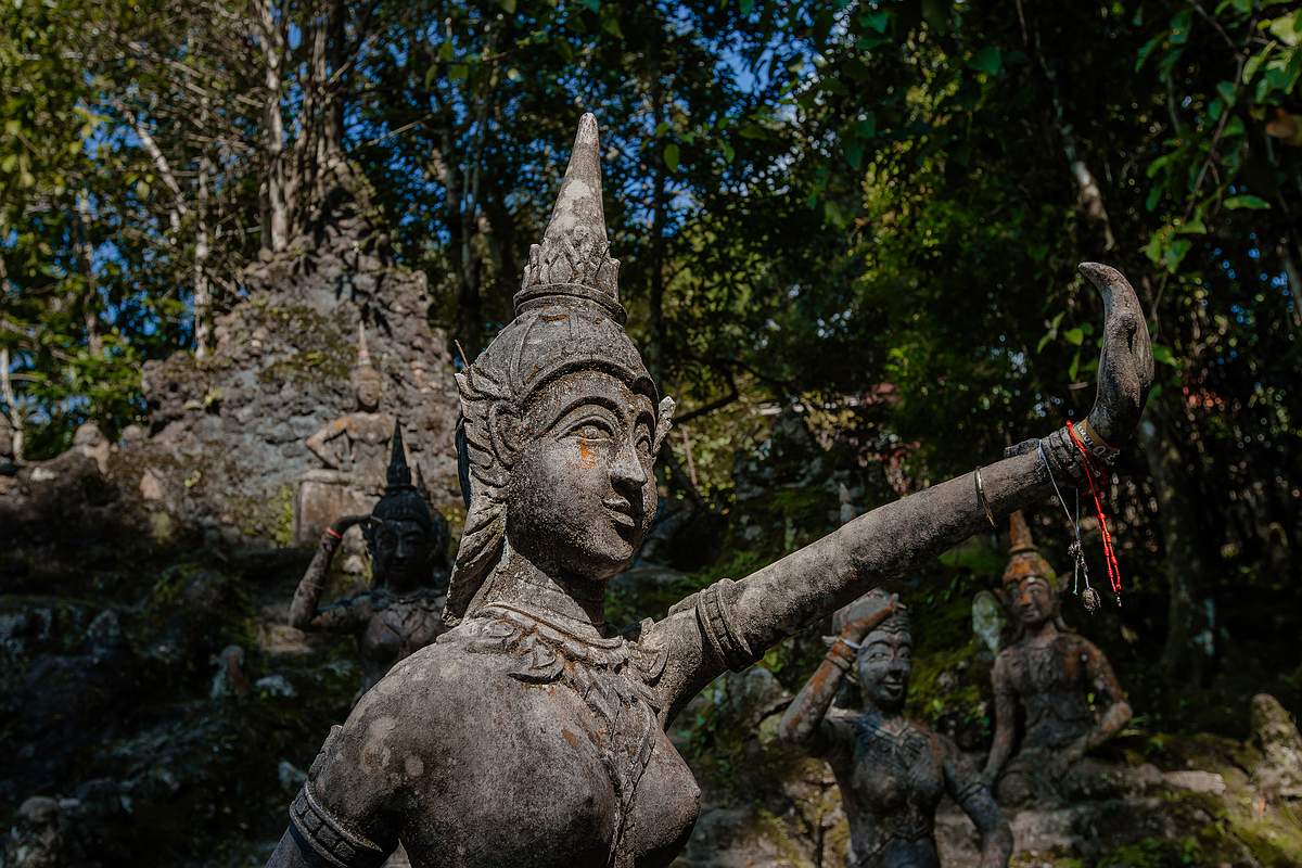 Tarnim Magic Garden