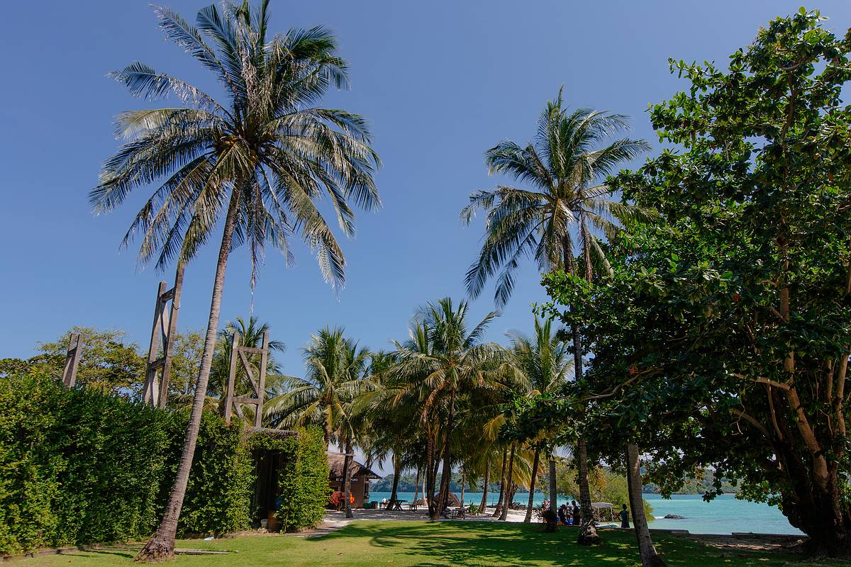 Kokospalmen säumen die Insel Koh Kham