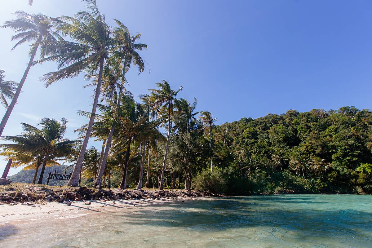 Die mächtigen Kokospalmen werfen weite Schatten in des blaue Meer