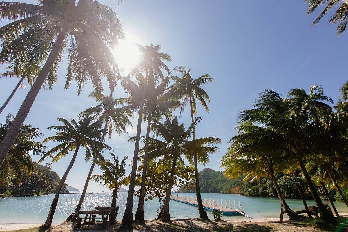 Sonnenlicht streift durch die Kokospalmen auf der Insel Koh Ngam