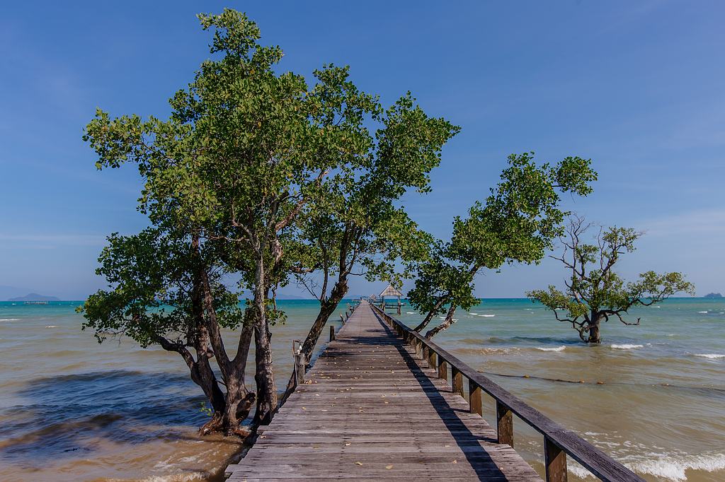 Der Cinnamon Scenic Boardwalk