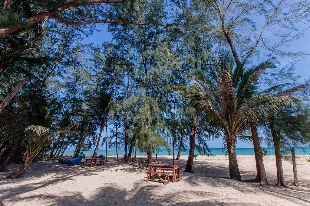 Binien und Palmen am Laem Son Beach Koh Mak