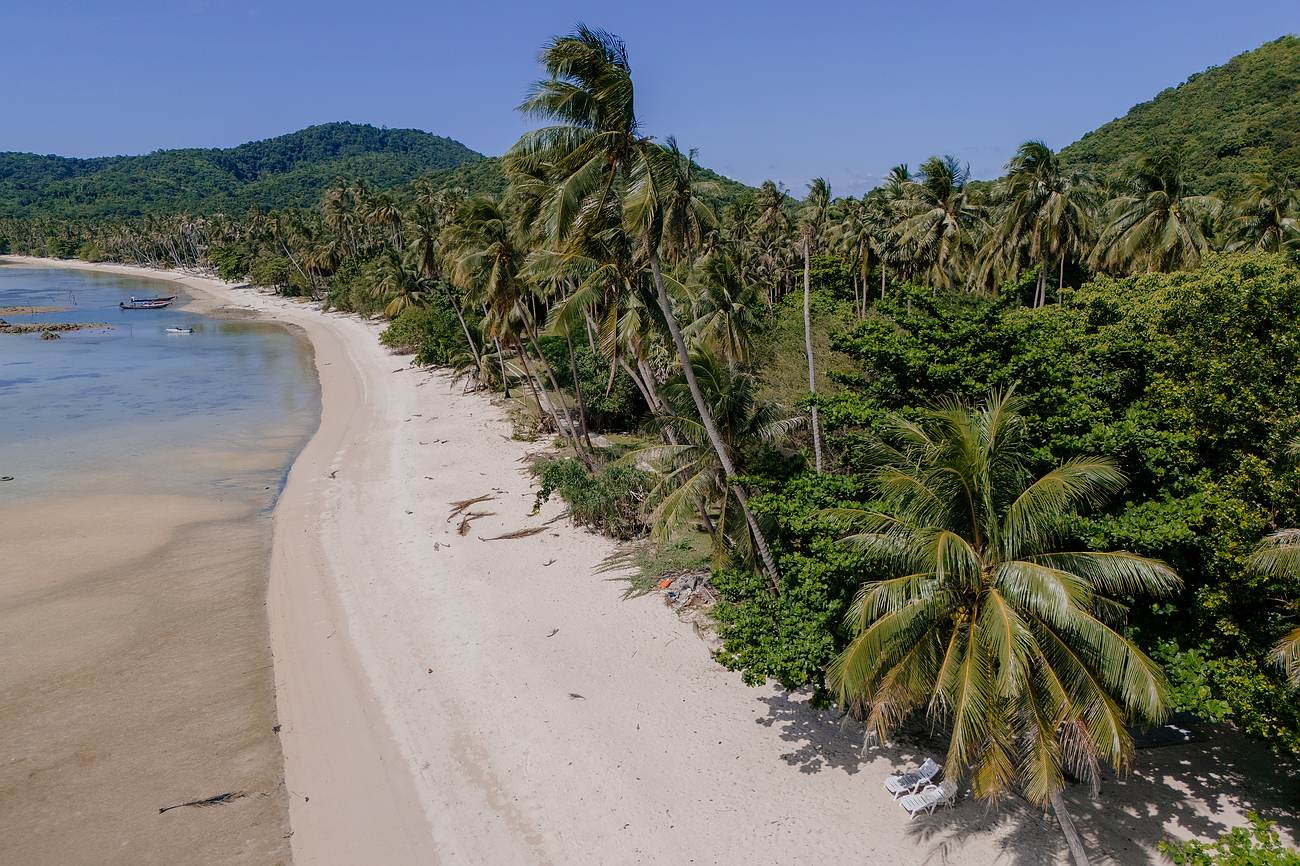 Unzählige Kokospalmen säumen den Sandtrand auf Koh tan