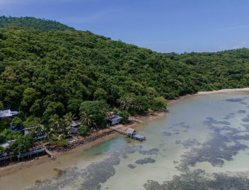 Koh Tan – Trauminsel bei Koh Samui | Tipps für deinen Ausflug