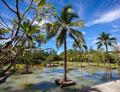 Beste Reisezeit Khao Lak – Alle Infos zu Wetter, Klima und Regenzeit