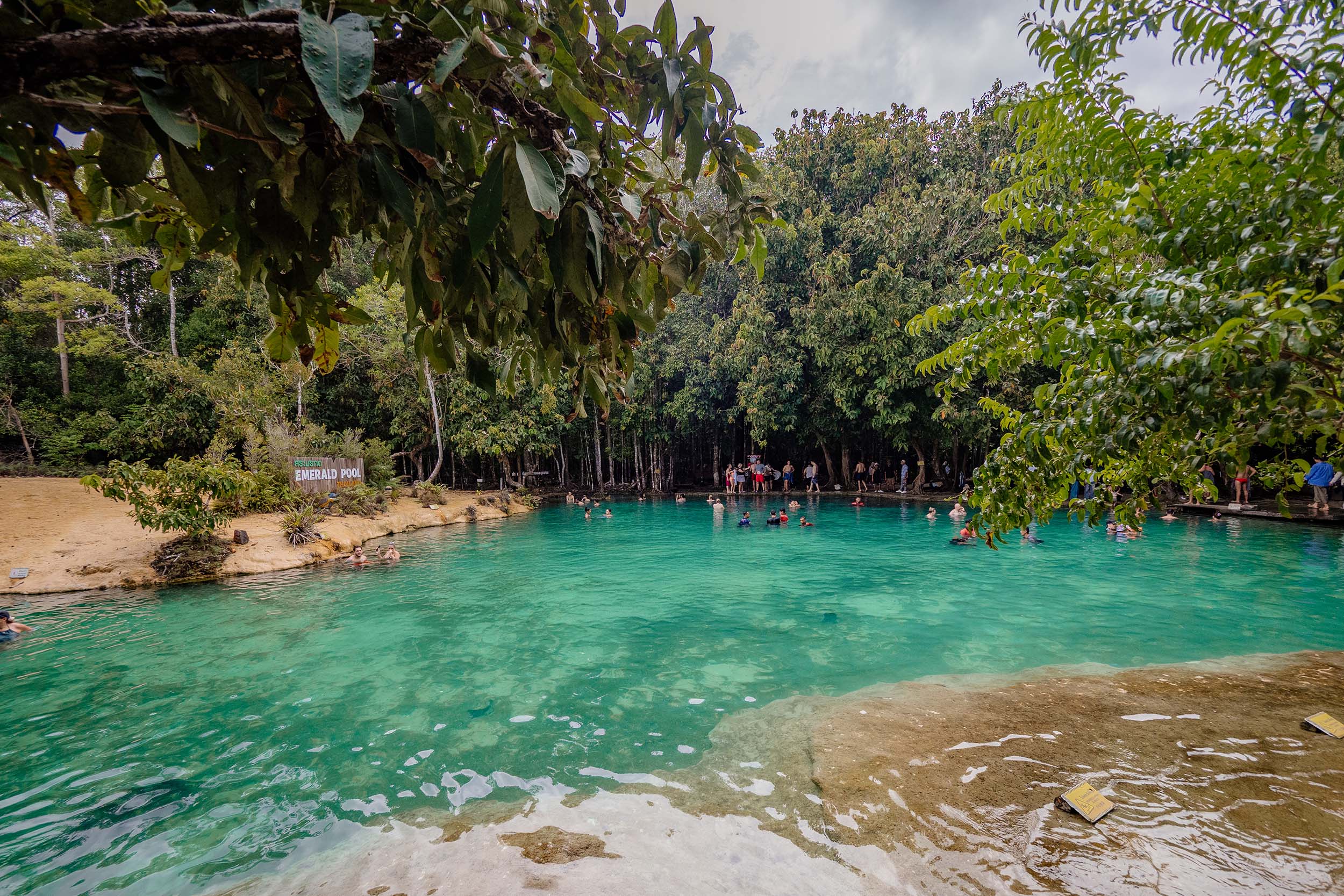Der Emerlad Pool in Krabi