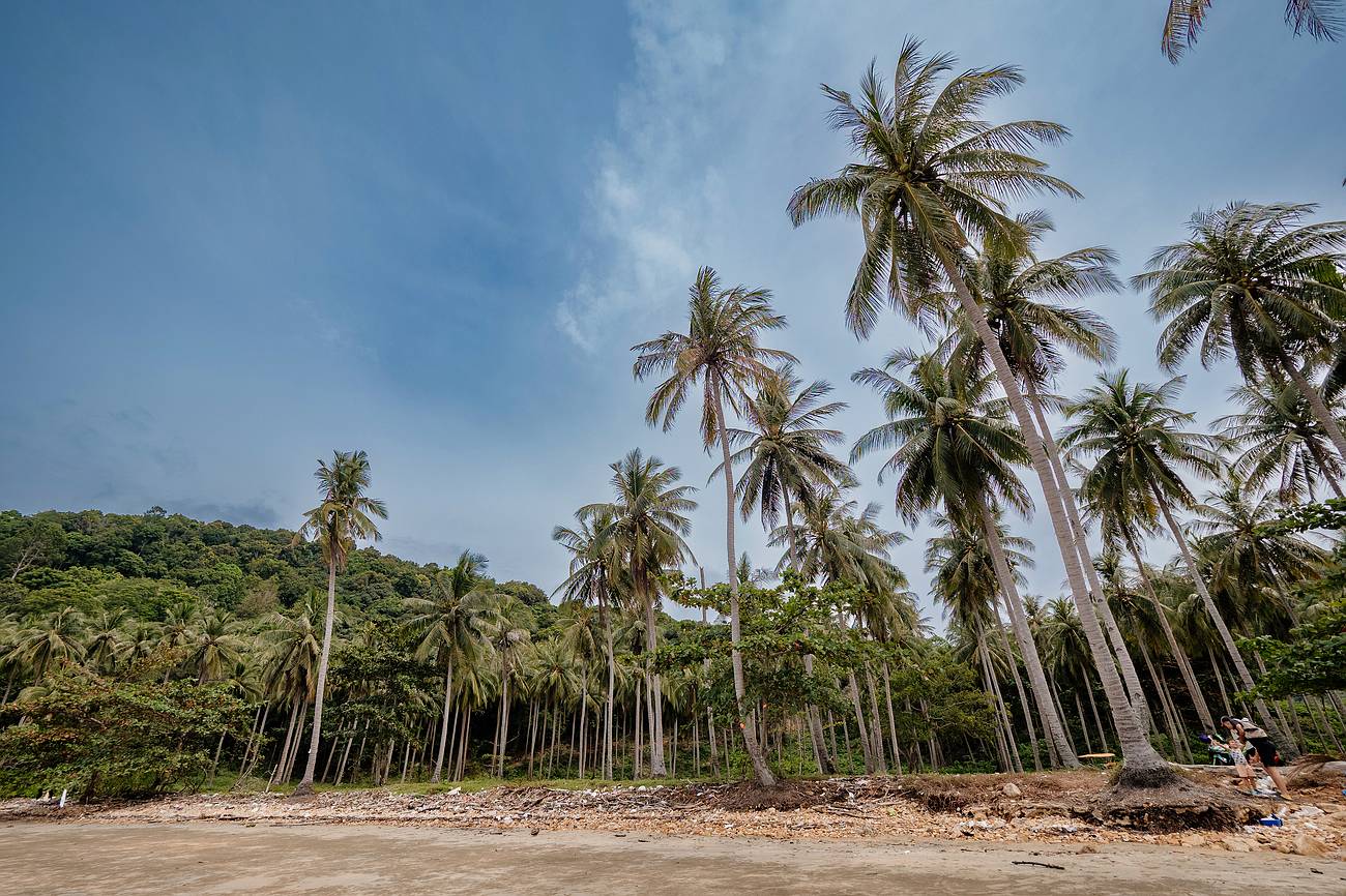 Der Coconut Strand im Norden von Koh Jum
