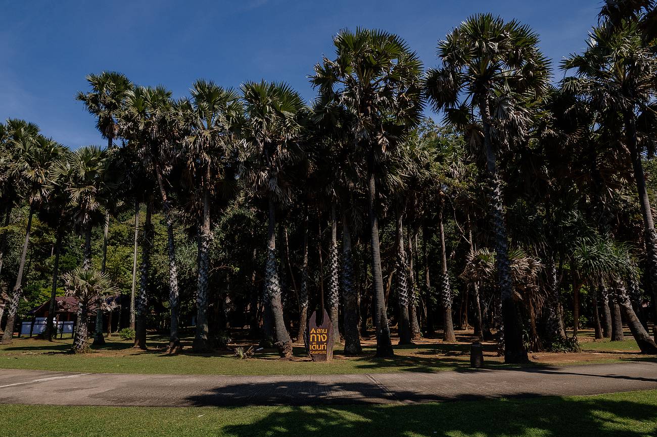 Großfläche Grünanlage im Mu Ko Lanta Nationalpark