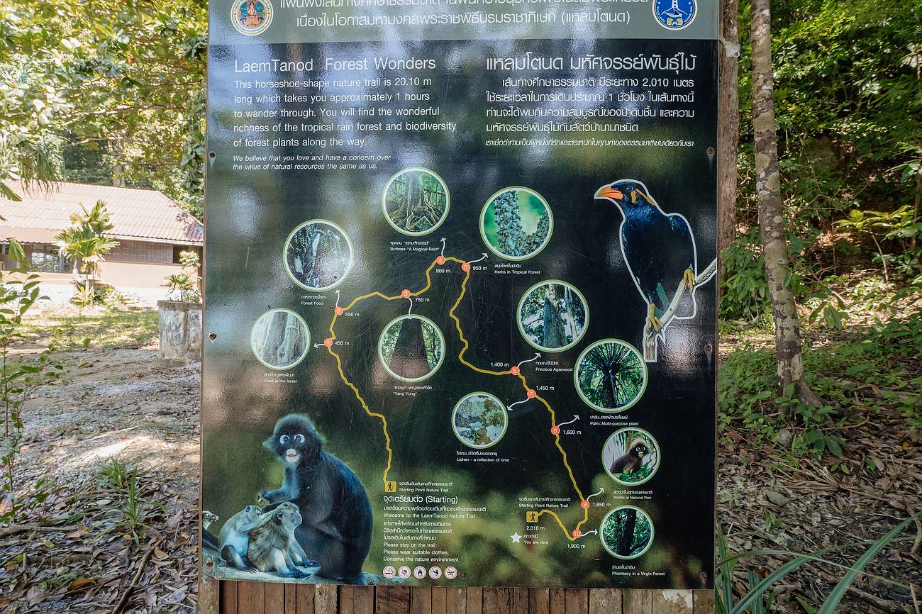 Eine Karte für den nature Trail im Koh Lanta National park